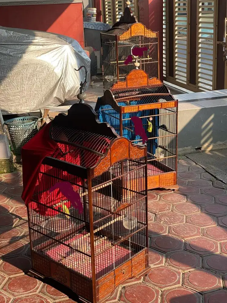 Sangkar ukir full jati uk 50 x 45