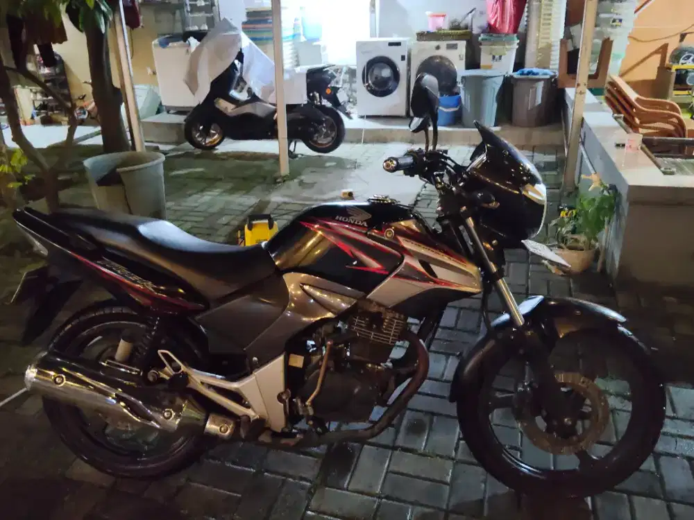 Tiger Revo 2011