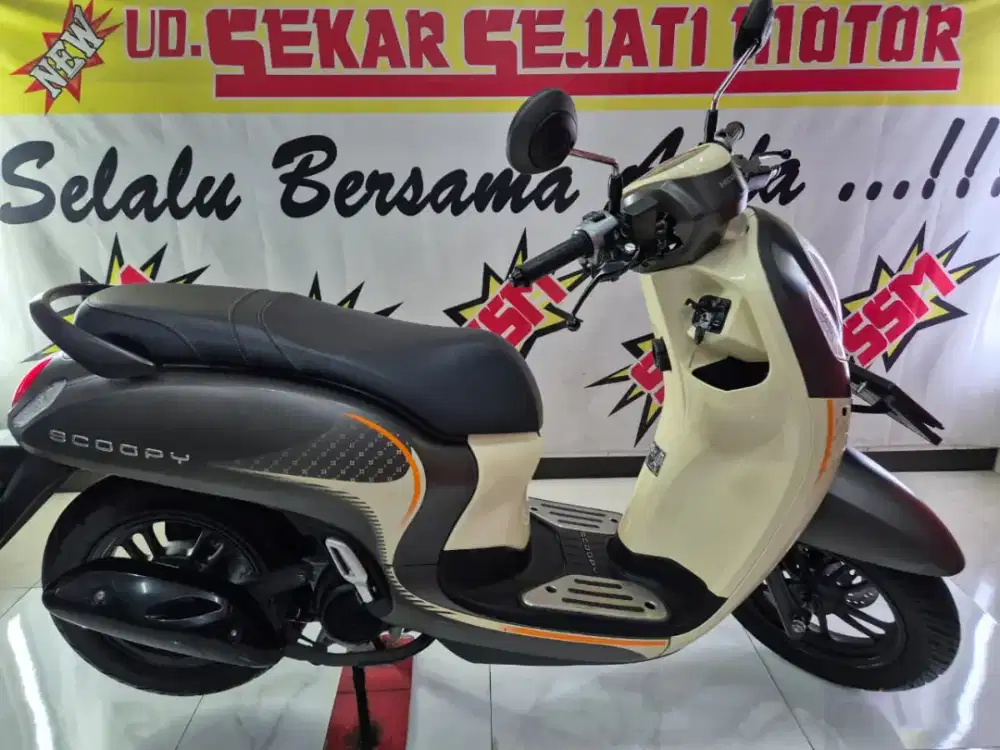 New Scoopy Fation Brown km 2rb