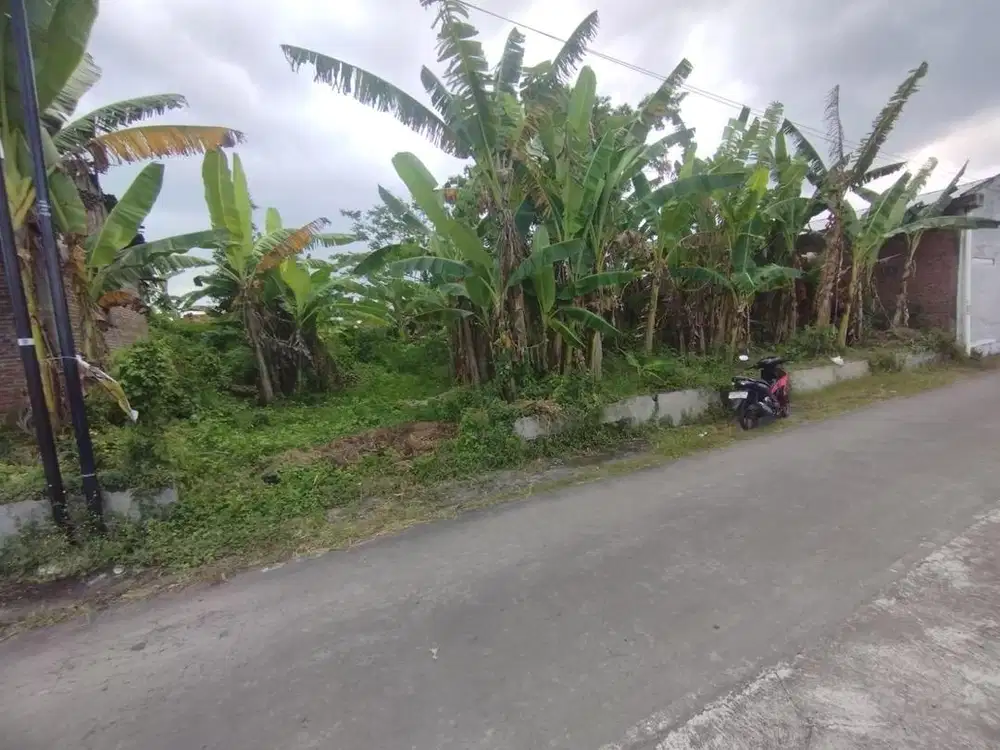 TANAH PEKARANGAN