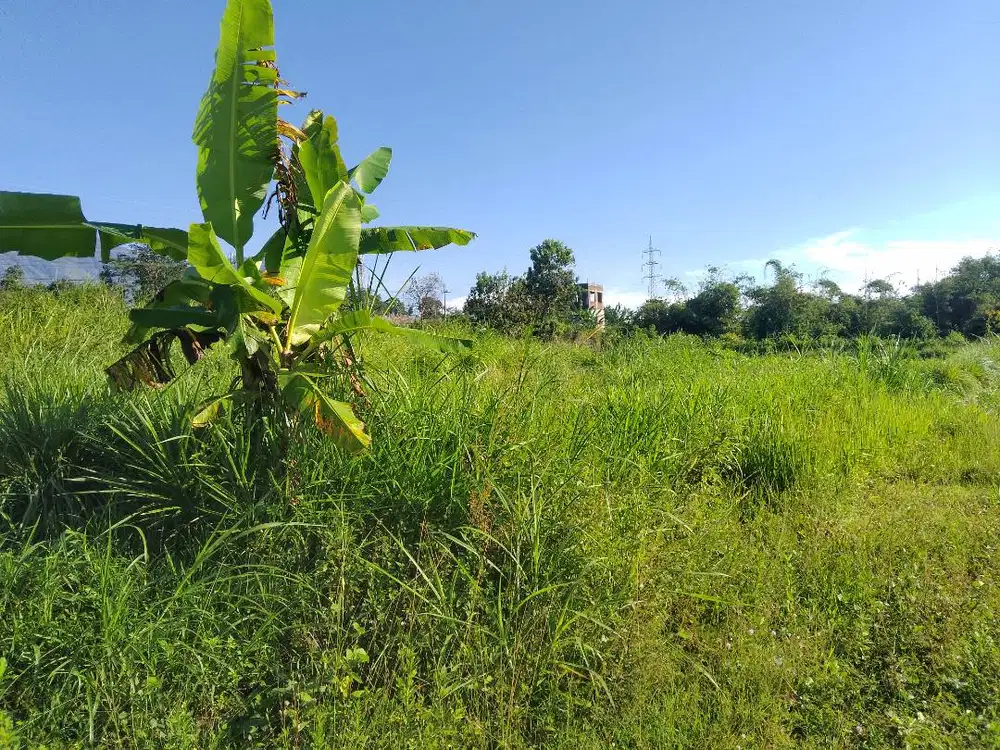 Dijual tanah villa