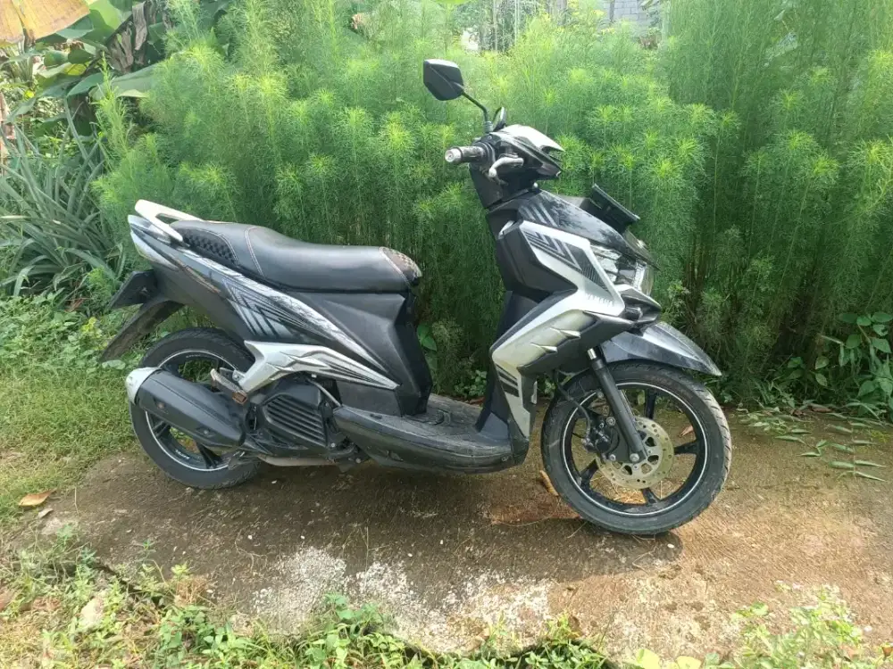 Xeon GT 125 2014
