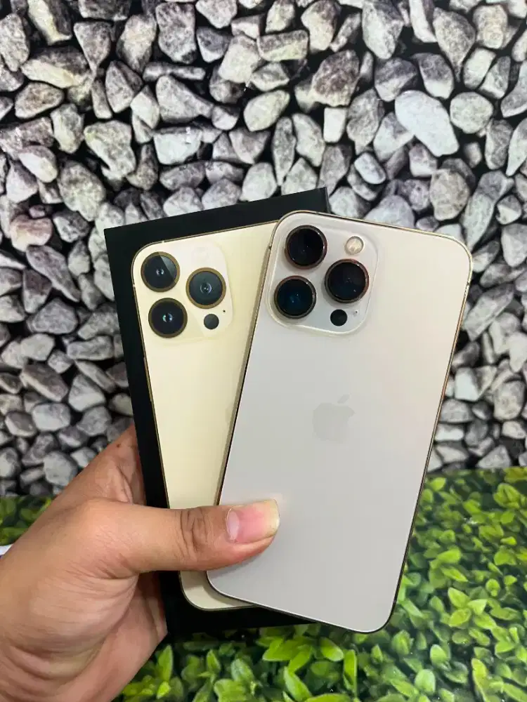 Iphone 13 Pro 256Gb ex inter