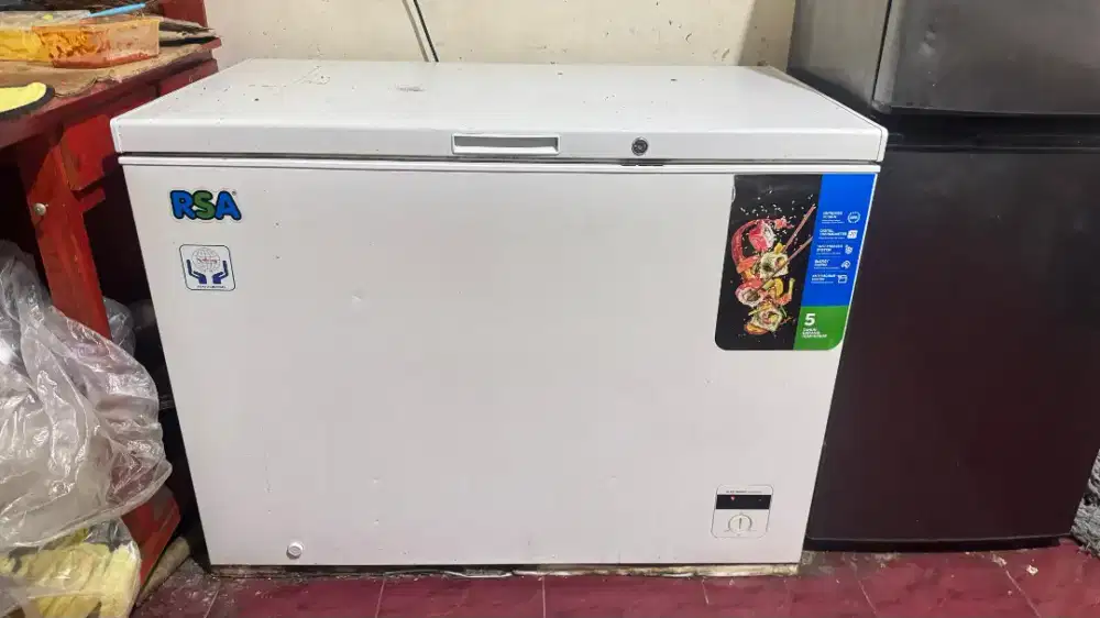 Freezer RSA 310 Liter