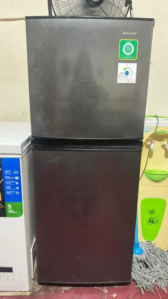 Kulkas Sharp 2 pintu 152 Liter