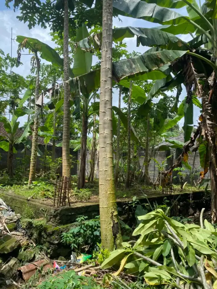 Di jual tanah siap bangun rumah