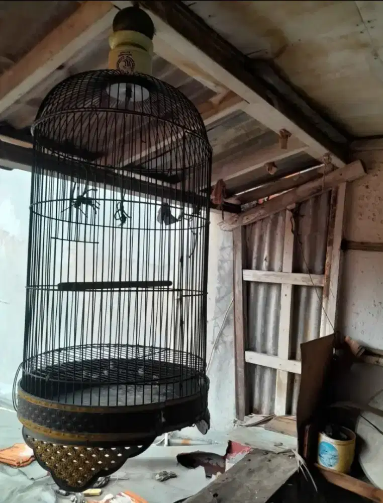 Di jual kandang burung bekas ya