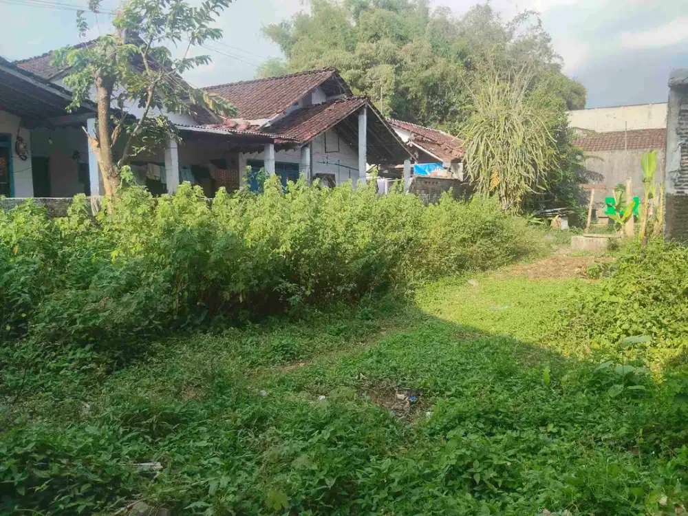 Dijual tanah dekat kampus jember