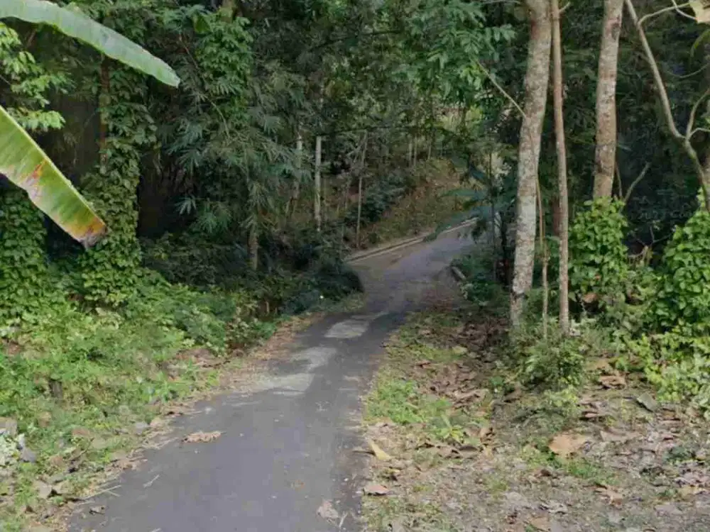 Tanah Super Murah di Purwoharjo, Samigaluh, Kulon Progo