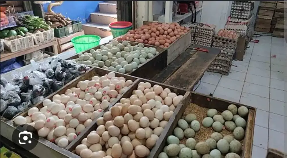 Butuh helper untuk di agen dan toko telur