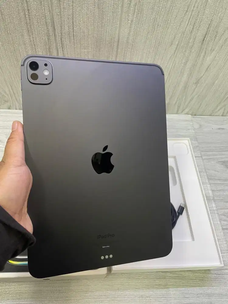 Ipad Pro M4 11inc 256GB Black Wifi Ibox Second Mulus