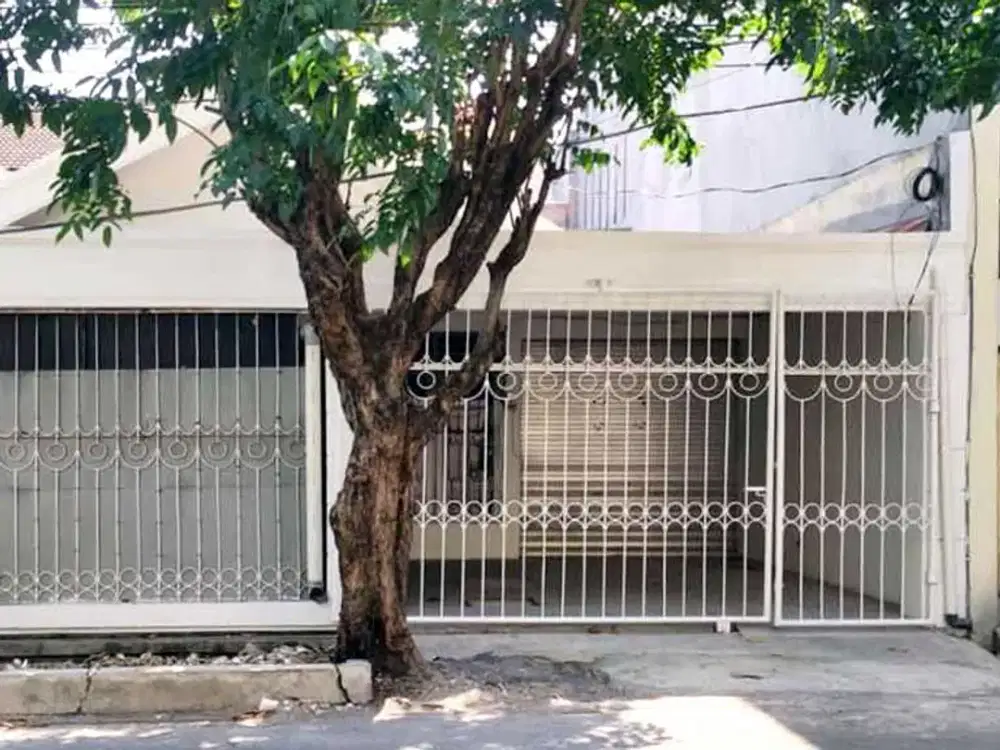 Disewakan Rumah Siap Huni Sutorejo Mulyorejo Pakuwon City REV.A642