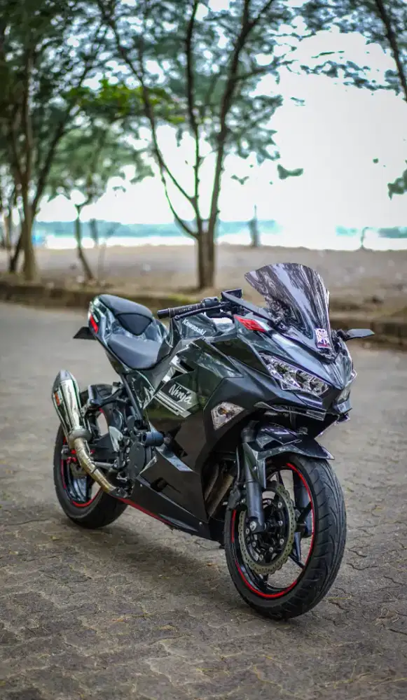 New ninja 250 fi