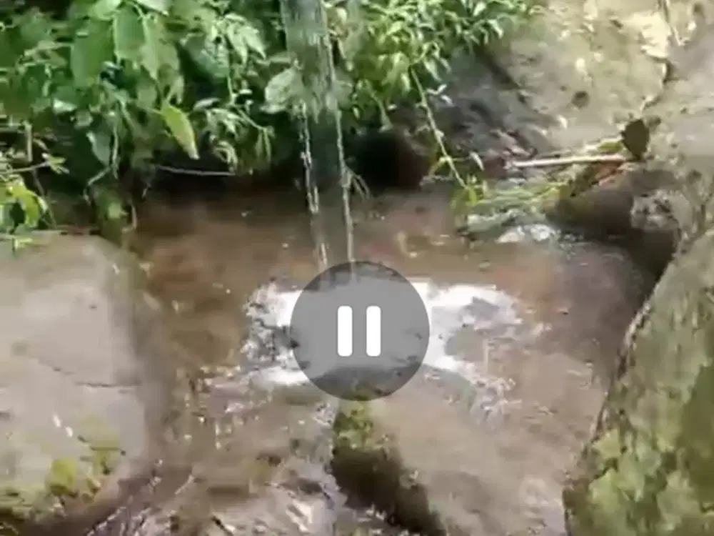 Dijual tanah kebun durian dengan sumber air tanah rata Wonosalam, Jombang