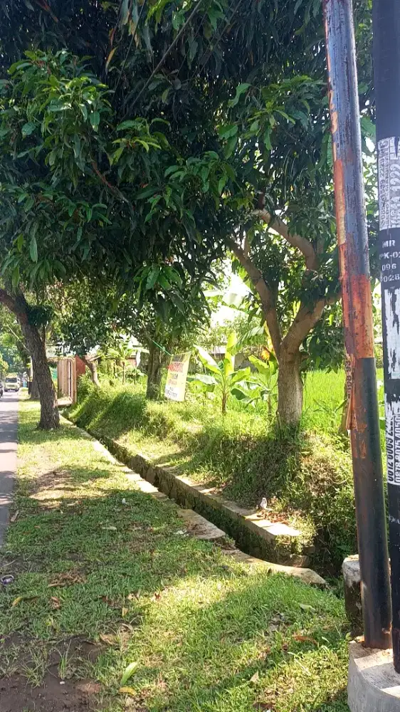 TANAH PINGGIR JALAN RAYA PROVINSI