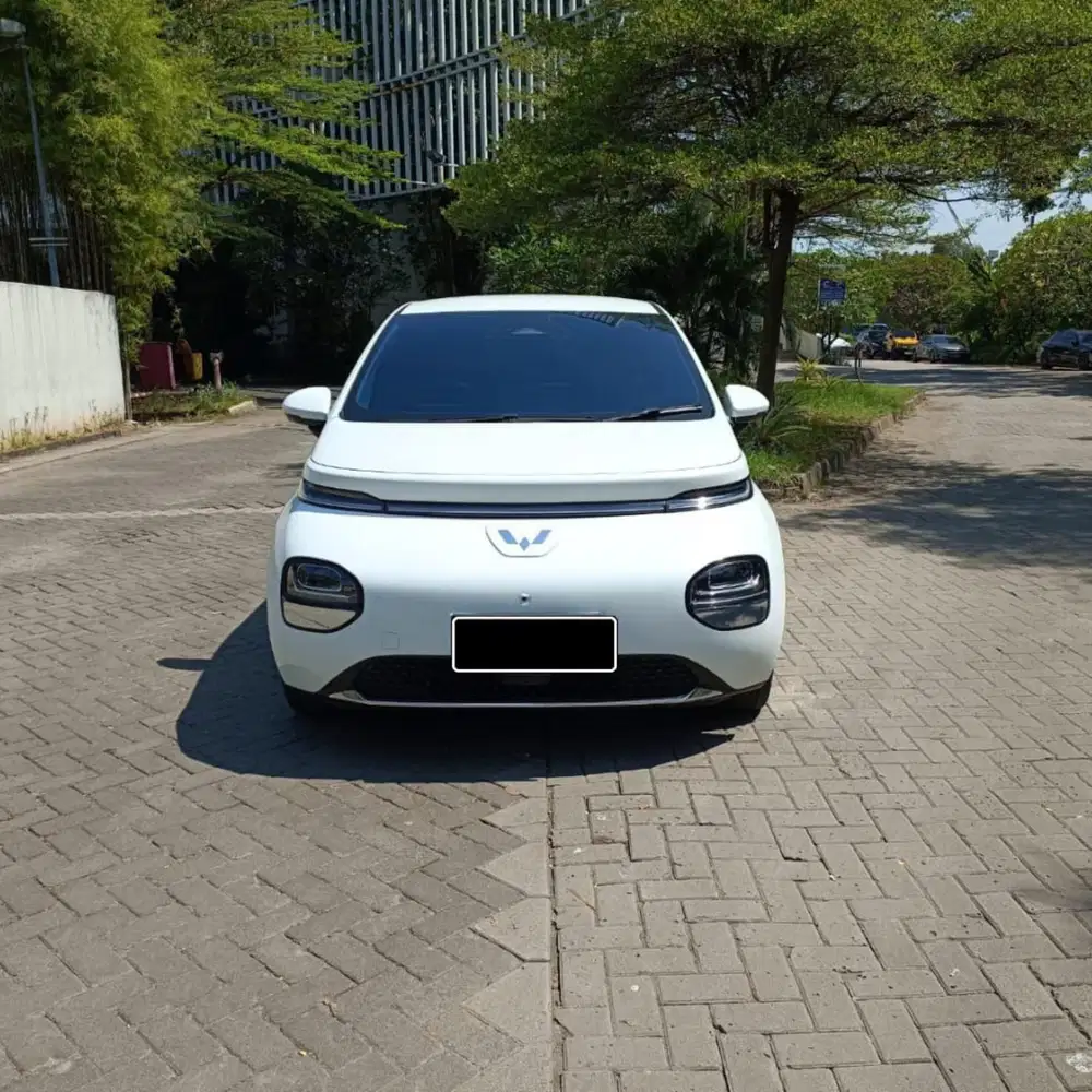 Wuling Cloud EV PRO At 2024
