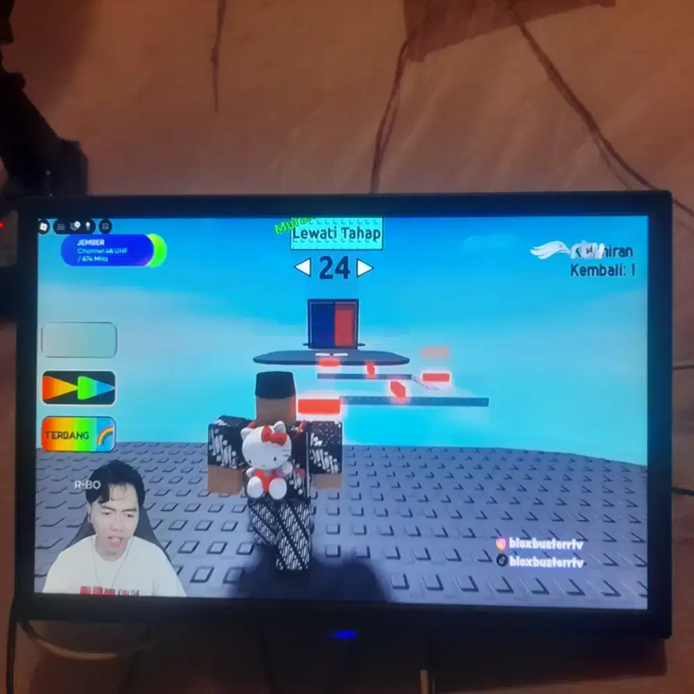 Tv merek animex