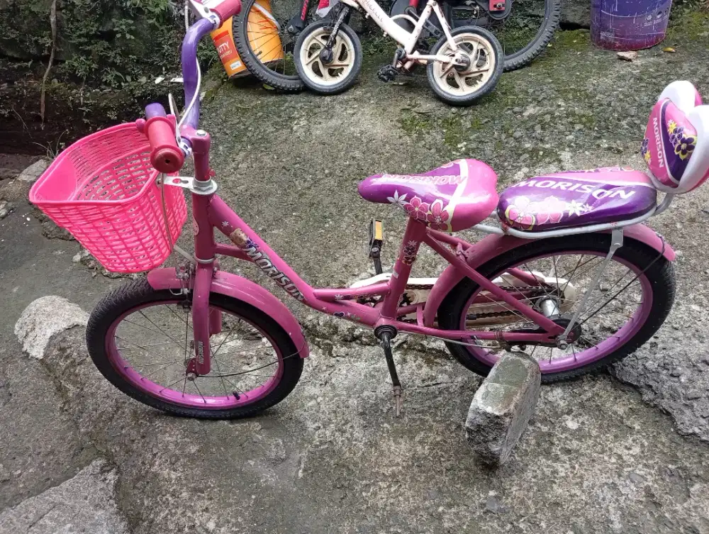 Sepeda cw ukuran 20