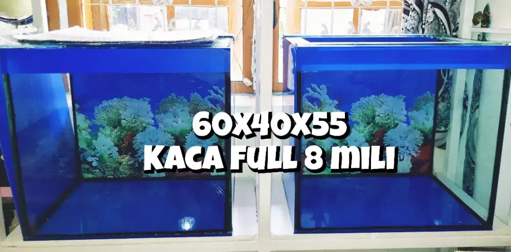 Aquarium  60x40x55 kaca full 8 mili