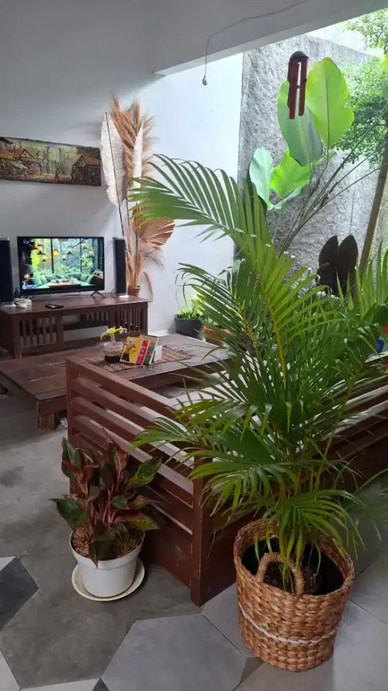 RUMAH KEREN, LENGKAP, STRATEGIS disewakan MURAH tinggal masuk