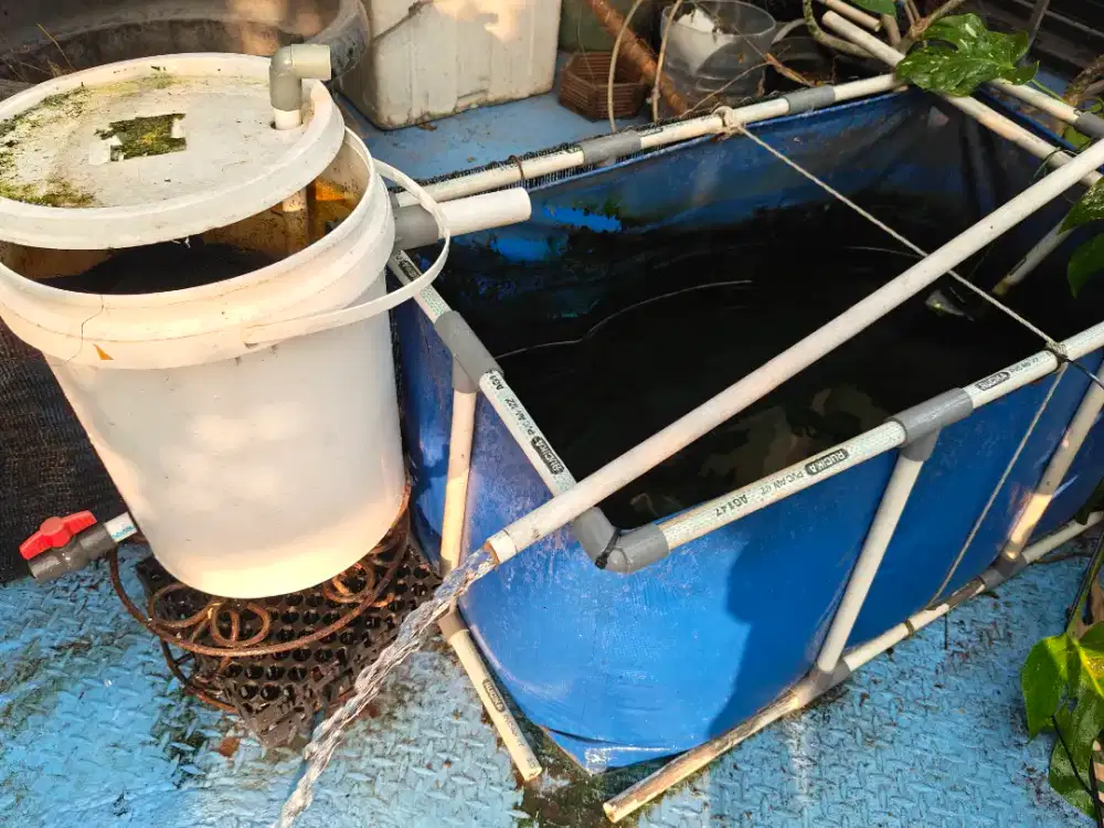 Filter ikan nila lele + bak kolam terpal + kerangka pipa bak 1/2 inch