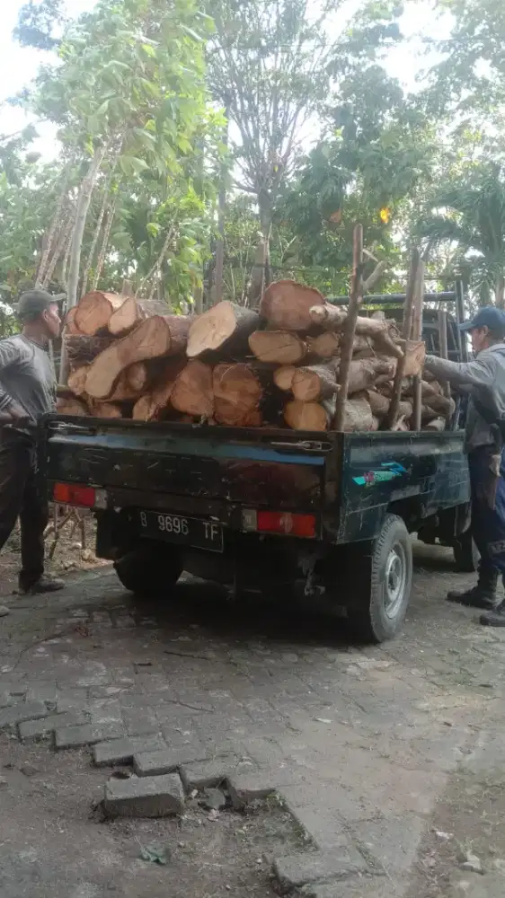 Tebang pohon dan babat rumput
