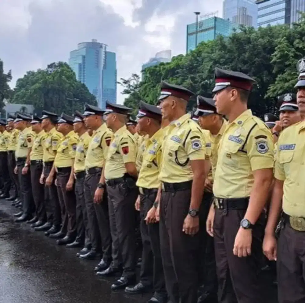 Pendidikan dan Pelatihan Satpam, Langsung Kerja setelah Pendidikan.