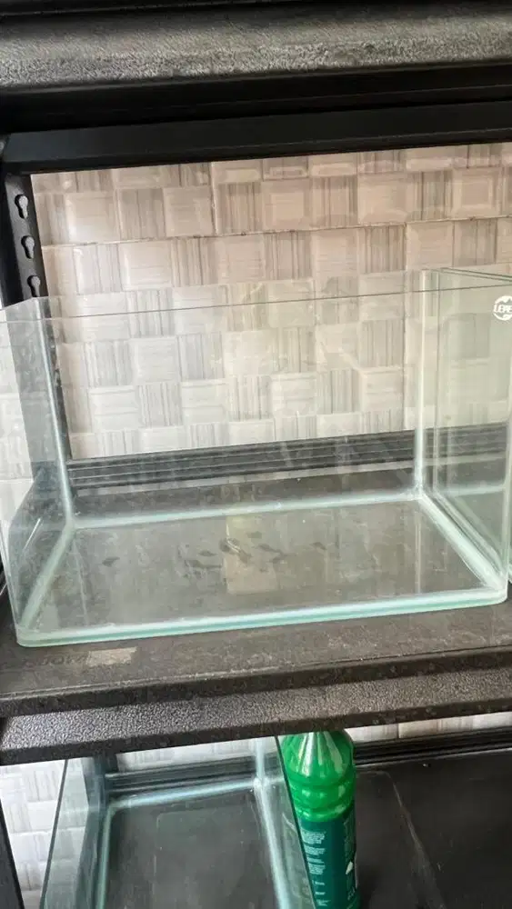 Jual Murah Aquarium Lepet Untuk Reptil dan Ikan