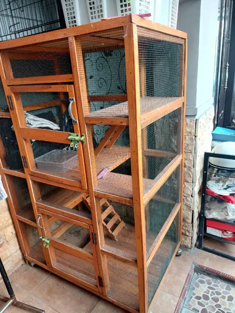 rumah kucing biar kucing aman nyaman ada roda
