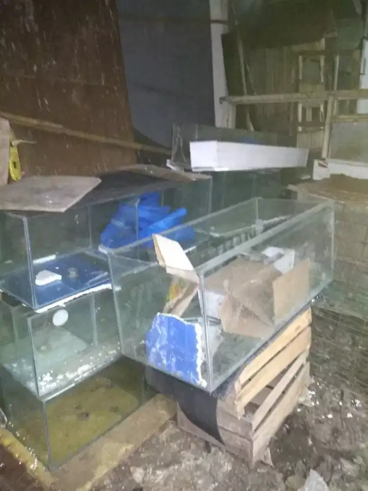 Aquarium borongan murah angkut smua ada 8 bonus mesin kran dan pralon