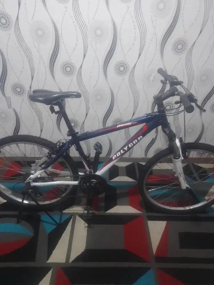 Sepeda gunung Polygon premier 2.0