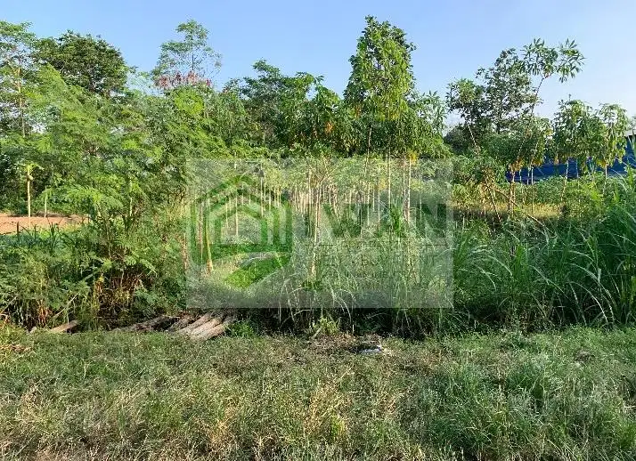 Tanah Zona Kandang Murah