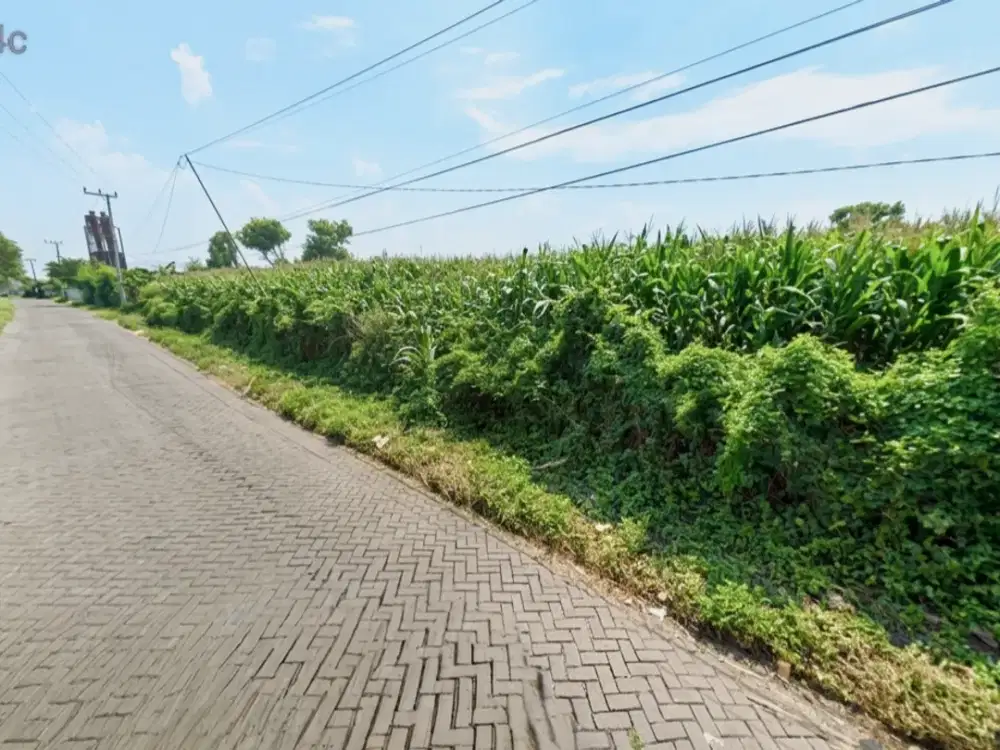 JUAL TANAH INDUSTRI 0,3 - 3,1 HA 500 METER DARI JALAN PROVINSI SIAP BANGUN, RACI PASURUAN