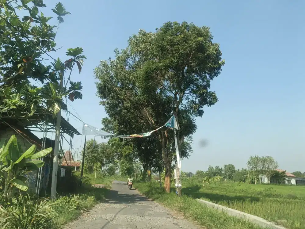 Disewakan tanah khusus pertanian di jl Kaliurang km 12 Ngaglik Sleman