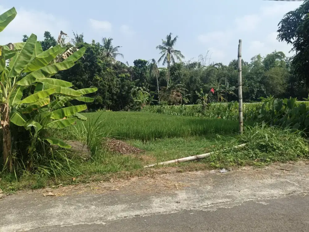 Disewakan tanah di yapah Sukoharjo Ngaglik jl Kaliurang km 12 ketimur