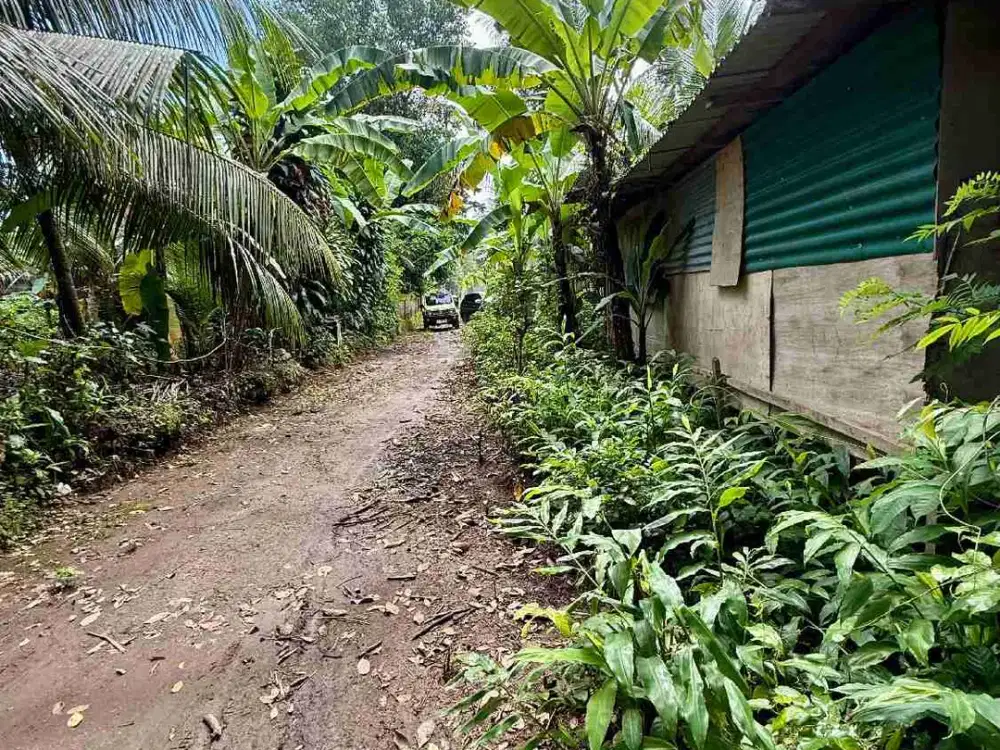 tanah kavling siap di bangun dekat ke centre Ubud