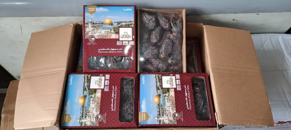 Kurma Medjool Jumbo Palestina 1kg - 500gr Box