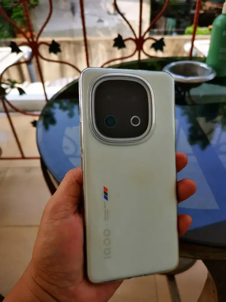 vivo iqoo 13, 12/256