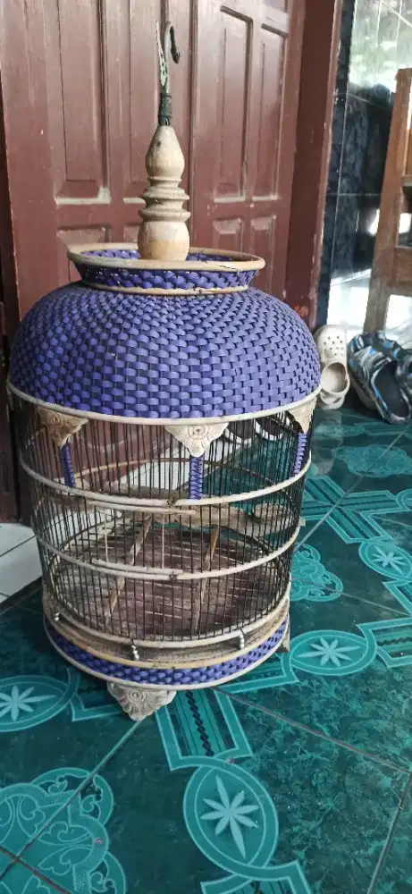 sangkar perkutut jos