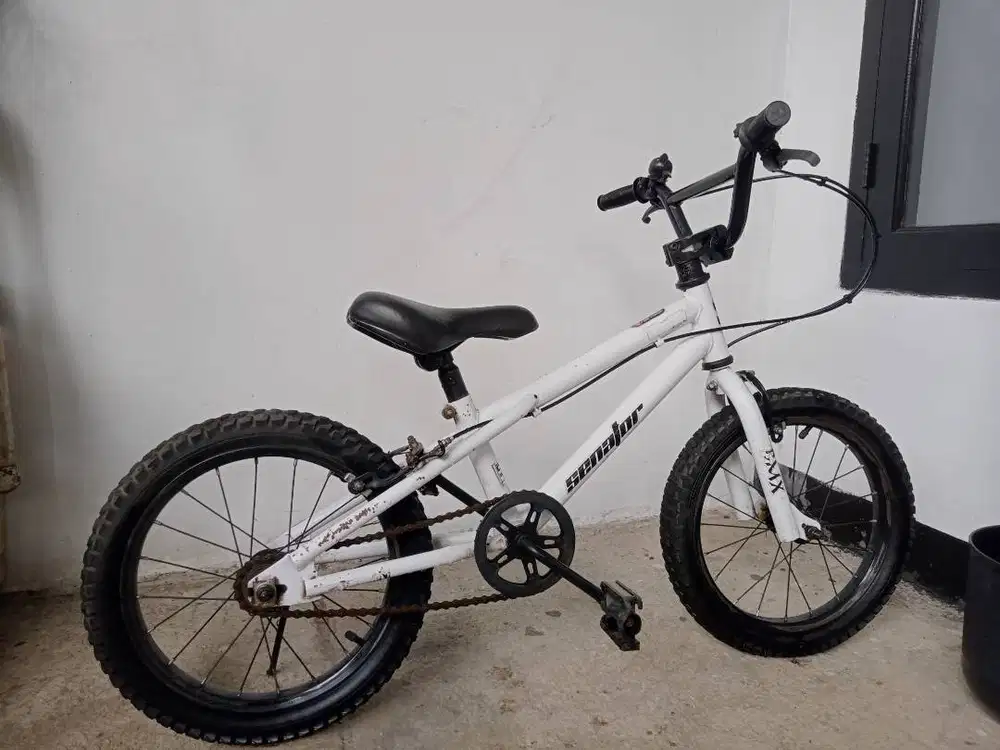 Sepeda anak murah