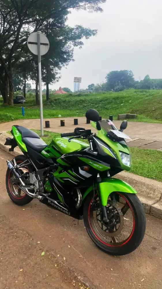 Ninja rr new 2015