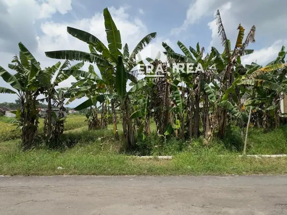 TANAH DIJUAL DI SOLO TIMUR DEKAT PASAR BEKONANG, INDOGROSIR SOLO DAN LUWES PALUR