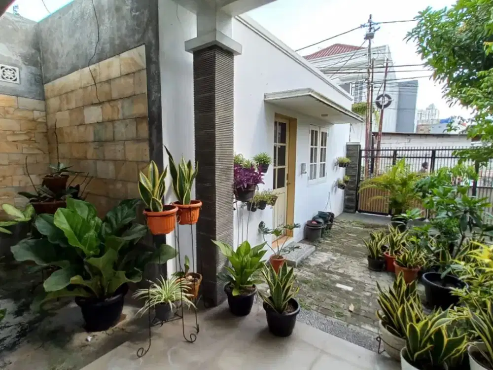 *UPDATE TURUN HARGA* DIJUAL CEPAT RUMAH BAGUS (Siap Huni) DI RAWA SIMPRUG KEBAYORAN LAMA JAKARTA SELATAN