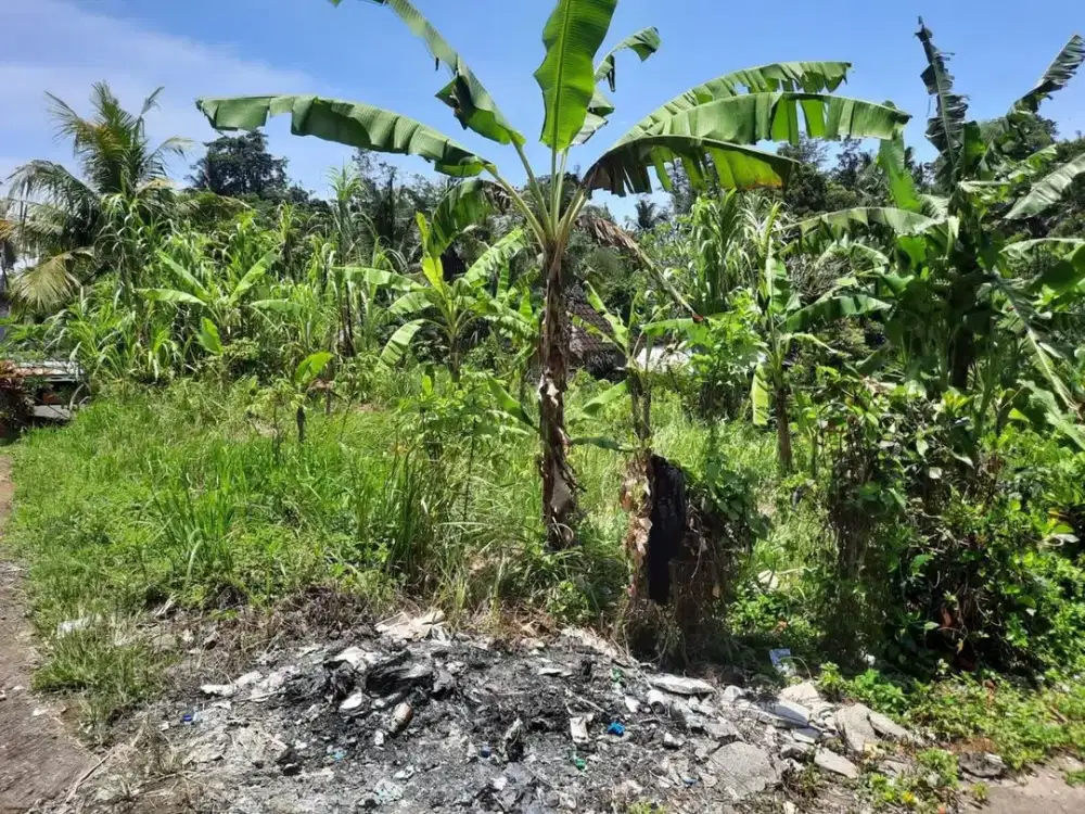 Dijual Langka Kavling Kecil Siligita Nusa Dua Siap Bangun Lokasi Strategis