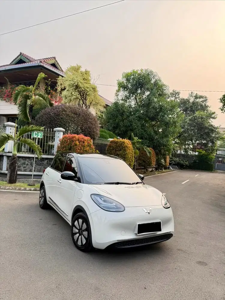 Wuling Binguo EV Premium Range 410 KM
