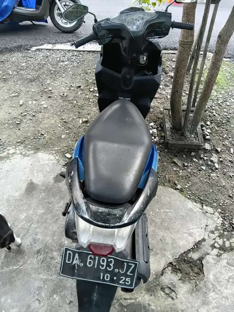Vario techno karbu 2010