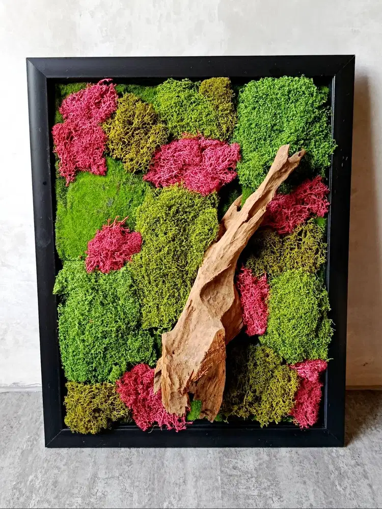 Hiasan Dinding Moss Art / Bingkai Lumut Alami & Kayu Jati  35x45 cm