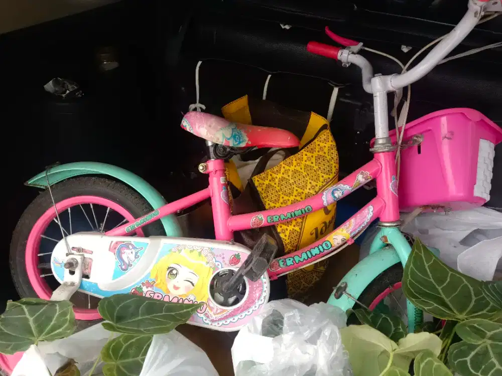 SEPEDA ANAK KECIL UK 12 ERMINIO