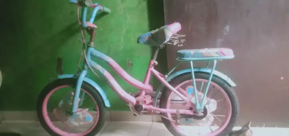 Sepeda anak cewe