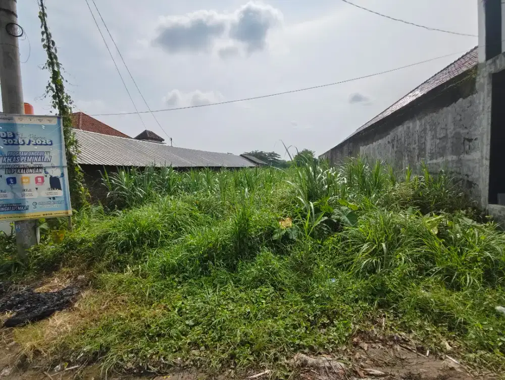 DI JUAL TANAH PINGGIR JALAN RAYA PODO CAPGAWEN KEDUNGWUNI PEKALONGAN